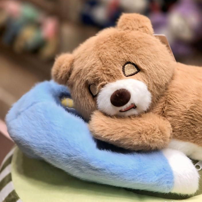 Plush teddy bear with a blue pillow in a store setting